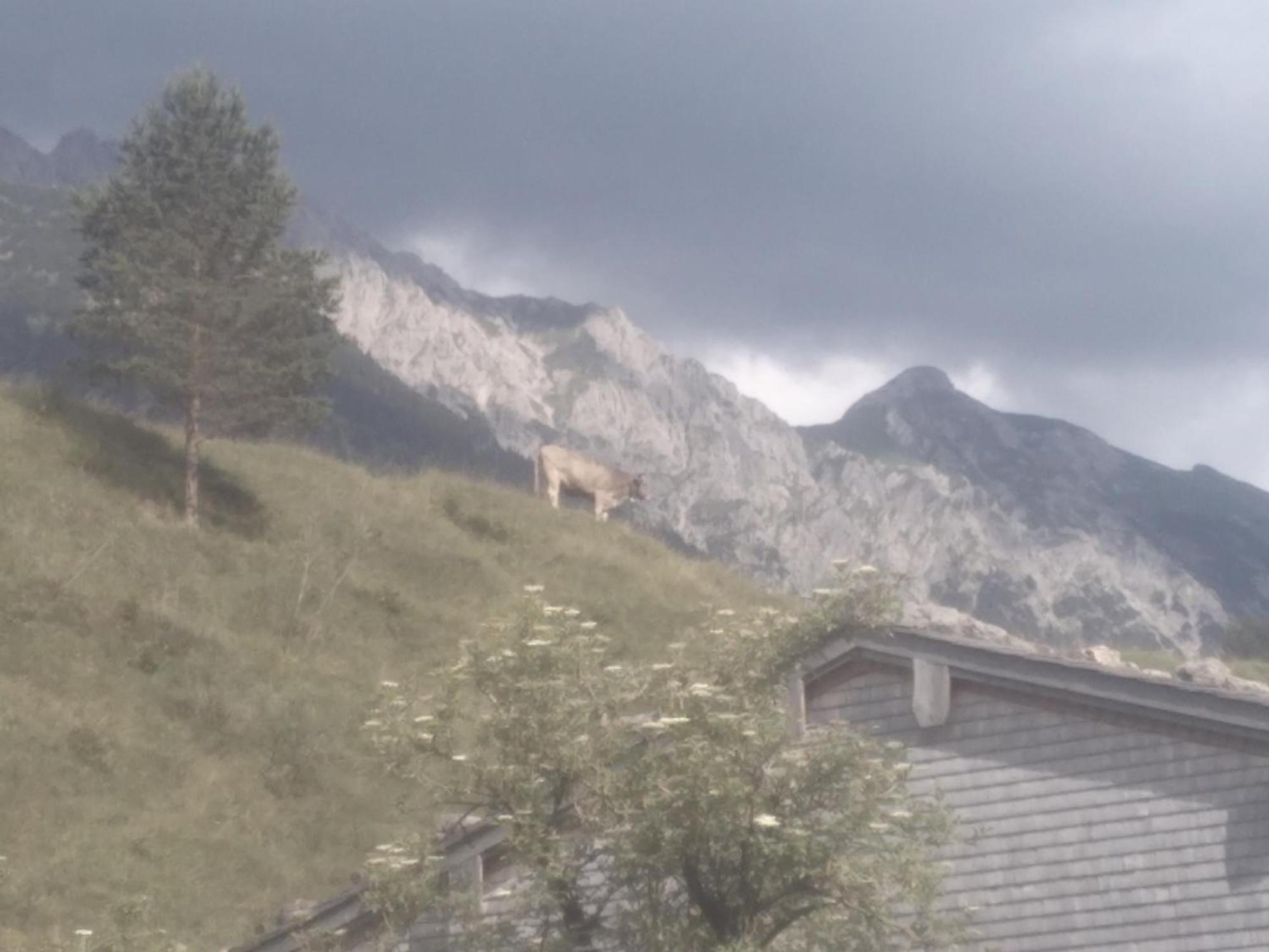 Holzhaus Besler Villa Bad Hindelang Dış mekan fotoğraf